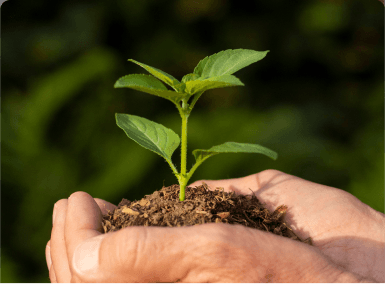 Raport: Platformë Digjitale për Natyrën