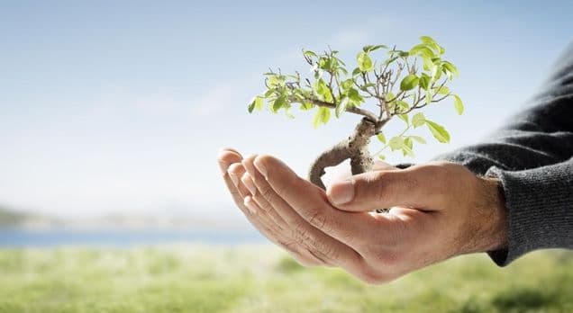 Raport: Platformë Digjitale për Natyrën