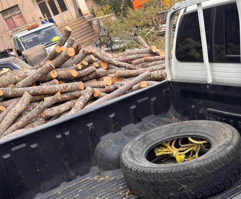 Kukës, kontrolle ndaj shfrytëzimit të paligjshëm të fondit pyjor