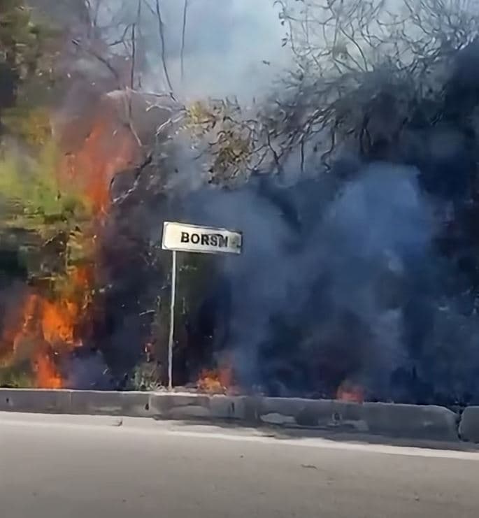 Djegia e pyjeve dhe kullotave në Borsh, arrestohet një 52-vjeçar
