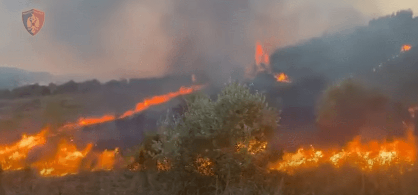 Zjarret në Fier, tre persona nën hetim për dëmtimin e sipërfaqeve të gjelbra